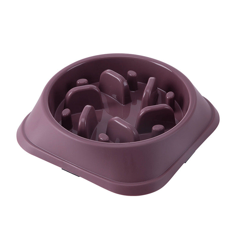 Anti-Choking Slow-Feed Pet Bowl - For Dogs & Cats