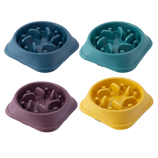 Anti-Choking Slow-Feed Pet Bowl - For Dogs & Cats